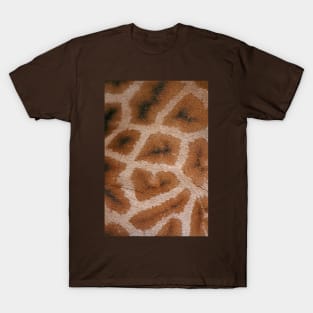 Natural Abstracts - Giraffe Hide T-Shirt